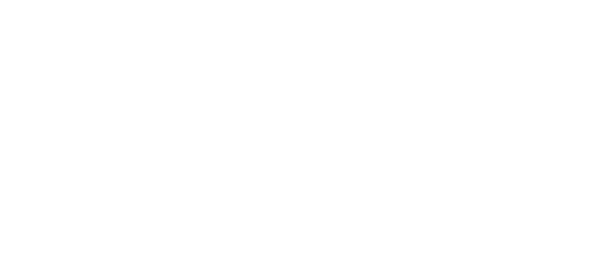 attestation capacite transport voyageur plus 9 personnes